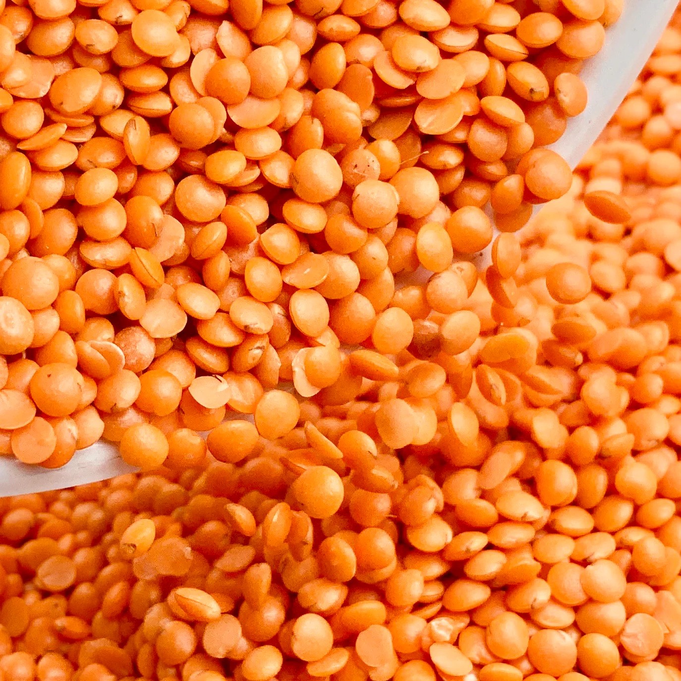 Aci Pure Mosur Dal 1kg